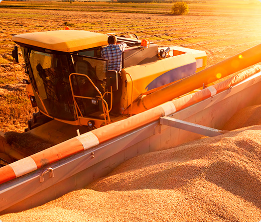 Imagem ilustra um homem dirigindo um veículo para colher grãos