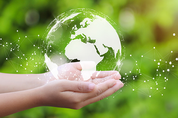 Fissure in Sandstone